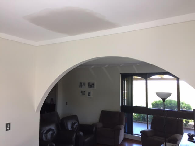 Plaster Ceiling Fixers