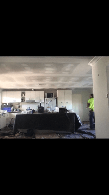 Plaster Ceiling Repair